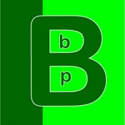 Bauberatung und Bauplanung Berlin BBP GmbH